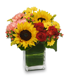 Local florist in search engines